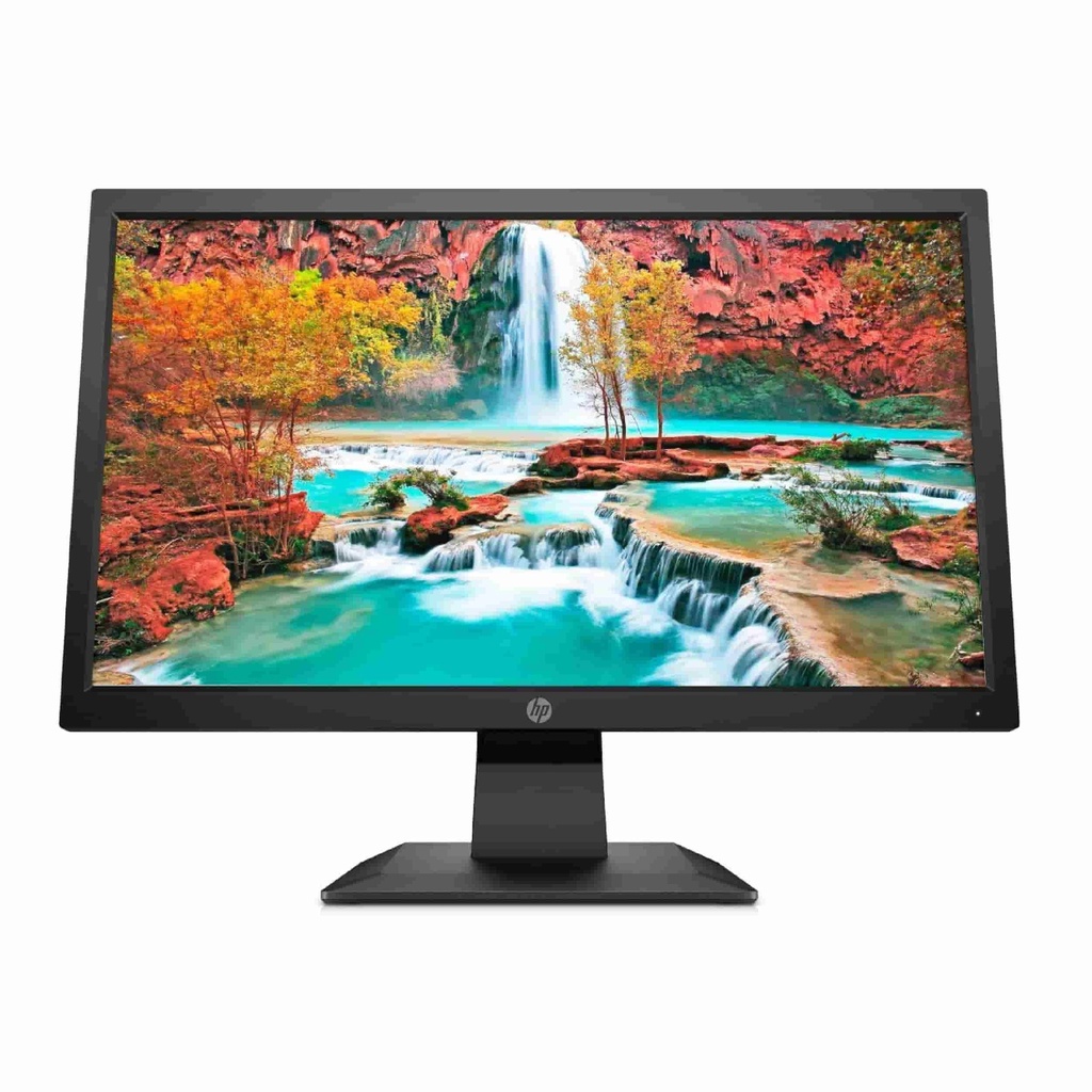 Moniteur Écran HP V20 / P204v — 19.5" LED HD+ (VGA / HDMI)
